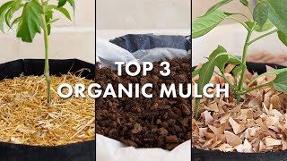 Top 3 Organic Mulch Options for Your Vegetable Garden [upl. by Ewold17]