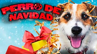 Perro de Navidad PELÍCULA COMPLETA  Películas Navideñas  Pelis de Estrella [upl. by Rentsch]