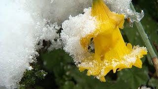 Ostschweiz Der Winter meldet sich zurück  Weisser Sonntagmorgen im Toggenburg [upl. by Ocirrej]