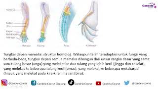 LATIHAN SOAL OSN K Biologi 2024 1 [upl. by Rebekkah]