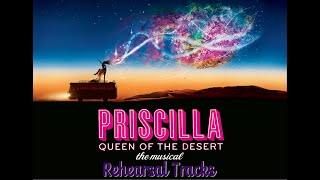 Priscilla  2  Its Raining Men [upl. by Stephana73]