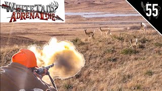 Muzzleloader Hunting w WHITETAIL ADRENALINE [upl. by Lewes]