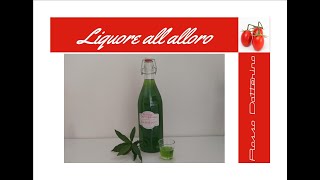 LIQUORE di ALLORO FATTO IN CASA Ricetta ALLORINO digestivo [upl. by Corene]