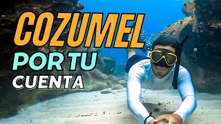 Un dia de Snorkel en Cozumel  Explorando Cozumel por tu cuenta Hotel Ventanas al mar [upl. by Cykana]