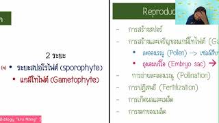 2วัฏจักรชีวิตและการสร้างเซลล์สืบพันธุ์ของพืช [upl. by Ueihtam635]