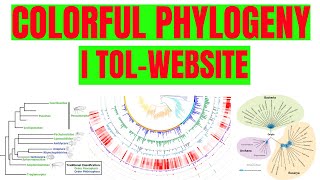 How to construct colorful Phylogenetic trees for research article  Lecture3 [upl. by Sherri]