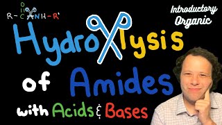 Hydrolysis Reactions of Amides with Acids and Bases Explained in 2 Steps [upl. by Suneya]