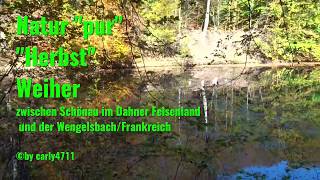 Weiher vor der Wengelsbach Elsass Frankreich 18102017 Teil 1 [upl. by Notlaw]