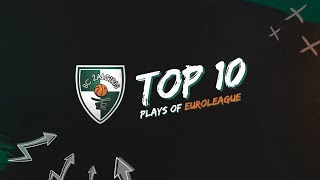 TOP10 Zalgiris moments from the first part of 20182019 EuroLeague season [upl. by Yltnerb514]