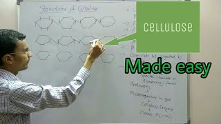 Polysaccharides structure  Cellulose [upl. by Platt119]