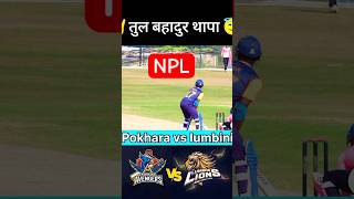 Pokhara avengers vs lumbini lions 🔥🏏 NPL  practice game  sujan Pandey  cricket [upl. by Adnarrim208]