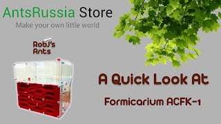 AntsRussia Store  Formicarium ACFK1 Nest amp Outworld Review [upl. by Laddie]