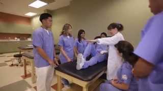 Learn About Our Physical Therapist Assistant Program  Concorde Career College [upl. by Leva]