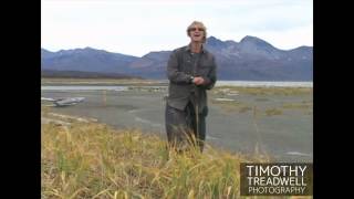 Timothy Treadwell Photography Grizzly Man  Kind Warrior [upl. by Godred]