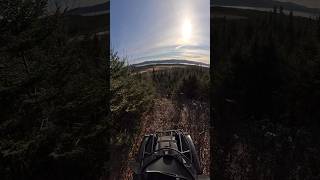 Yamaha Grizzly 700 exploring trails grizzly700 yamaha gopro newfoundland explore warnwinch [upl. by Airual]