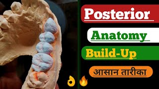 Posterior Anatomy Ceramic porcelain Ceramic build up video Dental video Anterior lab  Ceramic [upl. by Hadeehuat727]