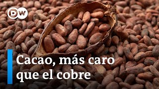 Se disparan los precios del cacao por la sequía en África Occidental [upl. by Atiuqad]