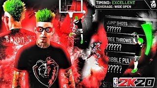 BEST JUMPSHOT amp DRIBBLE MOVES ON NBA 2K20 BEST DEMIGOD BUILD SIGNATURE STYLES amp JUMPSHOT NBA 2K20 [upl. by Ihcalam]