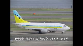 エチオピア航空、ライオンエア、、ボーイングB737MAX連続墜落から思うMD11との類似点 [upl. by Ellac270]