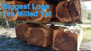 Woodland Mills HM130Max Maxed Out Squaring Red Oak [upl. by Anahsek969]