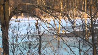 Brushy Creek lake Iowa Ice fishing report by WillCFish Tips and Tricks [upl. by Imarej580]