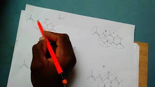 How to identify a Terpene and its isoprene units [upl. by Dugas855]