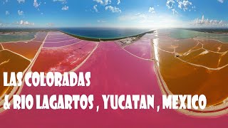 All you need to know about Las Coloradas amp Río Lagartos in Yucatán  Mexico [upl. by Sonitnatsok]