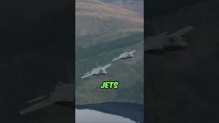 Why Are Fighter Jets Painted in Camouflage Colors shortsvideo youtubeshorts [upl. by Enila319]