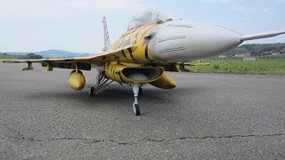 Scale RC Jet in Payerne Lockheed Martin F16 Fighting FalconF16A Tiger colours [upl. by Lem]