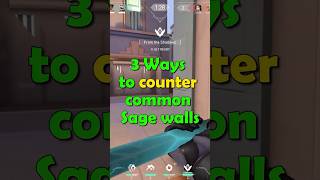 Ways To Counter Common Sage Walls [upl. by Arianne]