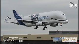 Airbus Beluga XL lands at Heathrow Airport for the very first time [upl. by Alisun]