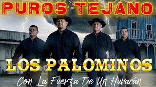 Los Palominos Mega Mix  Tejano Music  Norteños Mix 2023 [upl. by Marrilee]