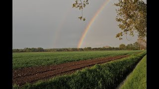 Plocher Humusboden heilt Böden [upl. by Adnana]