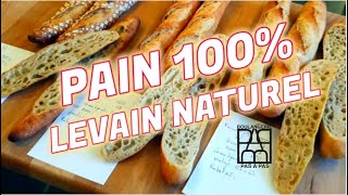 PAINS 100 levain naturel [upl. by Amii]