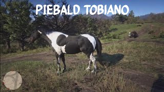 Red Dead Redemption 2 Story  Hungarian Halfbred Piebald Tobiano [upl. by Allare]