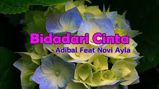 Bidadari Cinta  ADIBAL FEAT NOVI AYLA  LIRIK [upl. by Zenda231]