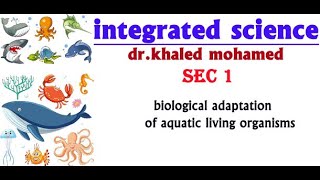 biological adaptation of aquatic living organisms sec 1 hw [upl. by Hanikas465]