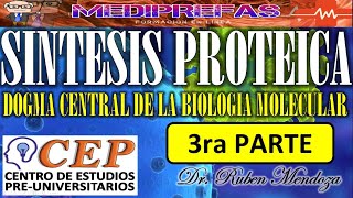 SINTESIS DE PROTEINAS  HISTONAS TRANSCRIPCION FORMACION DEL RNAm 3RA PARTE [upl. by Aiblis575]