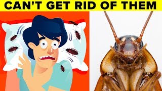 Scientists Explain Why You Cant Get Rid of Cockroaches [upl. by Snook473]