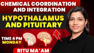 Hypothalamus and Pituitary  Chemical Coordination and Integration Detailed class  Ritu Rattewal [upl. by Llerehs737]