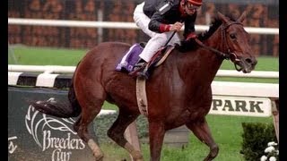 Inside Information  1995 Breeders Cup Distaff  Post Race amp Interviews [upl. by Jason634]