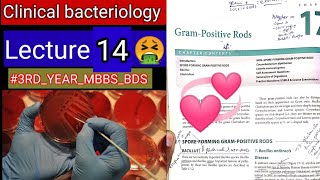 Special Bacteriology lectures1 Gram positive RODS Bacillus clostridum cornybacterium listeria [upl. by Caprice]