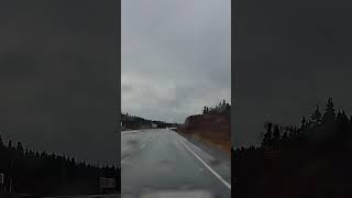 Newfoundland drivers  Sharp as liquid soap TheRealCancerMan88 automobile [upl. by Utica]