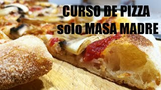 CURSO MASA DE PIZZA SOLO MASA MADRE paso a paso [upl. by Gaulin137]