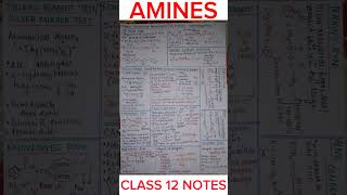 AMINES Class 12 Notes  Handwritten Notes [upl. by Harraf]