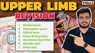 Complete Upper Limb Revision  Video 2  1st Year Professional Exams [upl. by Ahsieuqal345]