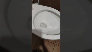 Toto toilet [upl. by Laicram]