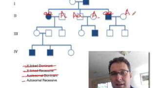 Pedigree Analysis 1 How to solve a genetic pedigree No 1 [upl. by Akiehs777]