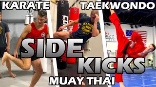 How Different Martial Arts SIDE KICK  Karate v Taekwondo v Muay Thai YOKO GERI [upl. by Micheline796]