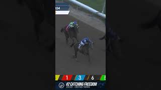 2024 Smarty Jones Stakes Replay [upl. by Lrigybab]